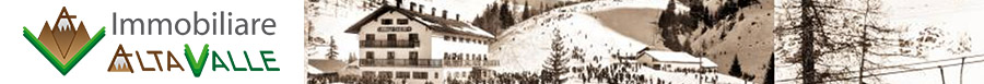 AltaValle_banner